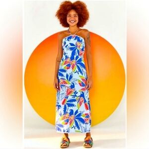 Farm Rio Blue Birds Midi Dress Size Medium NWT Colorful